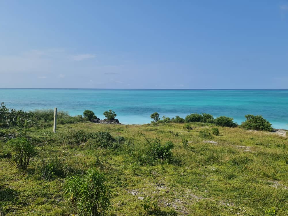 Beach Plot Property For Sale
